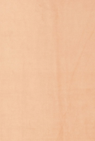 Nachtvorhang camel Velvet 